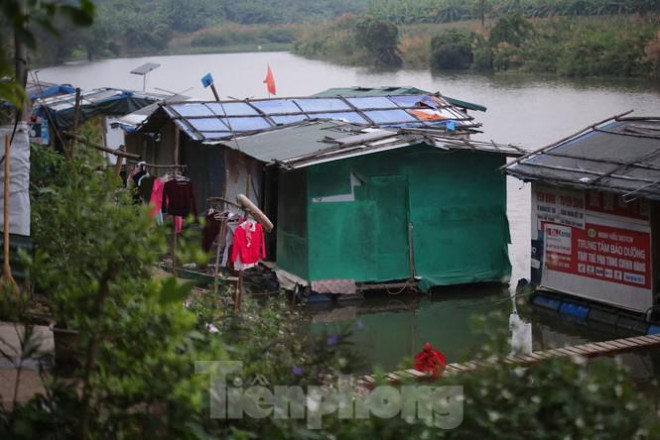 Trong những ngày Hà Nội rét đậm, có lẽ bãi giữa sông Hồng là một trong những nơi lạnh nhất của Hà thành. Trời đông rét mướt càng khiến cho những phận đời dân nghèo nơi đây trở nên tê tái.
