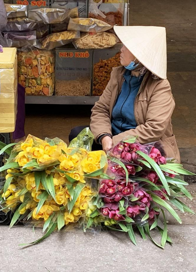 Hoa lan cắt cành được bán với giá rẻ ở chợ Đà Lạt.