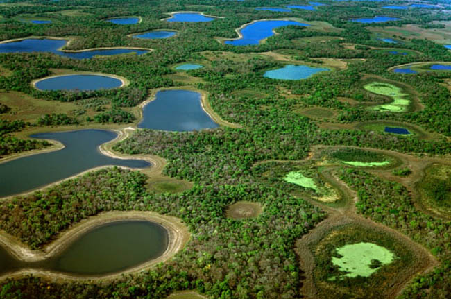 10. Pantanal

Pantanal là khu vực tự nhiên chứa vùng đất ngập lớn nhiệt đới lớn nhất thế giới. Những đồng bằng ngập lụt trải dài qua khu vực phía đông nam Brazil, Paraguay, Bolivia, trở thành điểm đến sinh thái tuyệt vời được nhiều người yêu thích.
