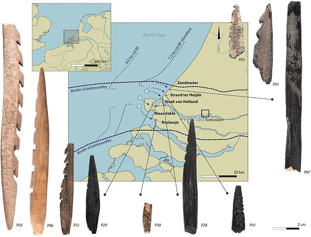 Những mảnh hài cốt người và động vật được đẽo gọt thành mũi giáo răng cưa xuất hiện tại nhiều nơi dọc bờ biển Hà Lan - Ảnh do nhóm nghiên cứu cung cấp