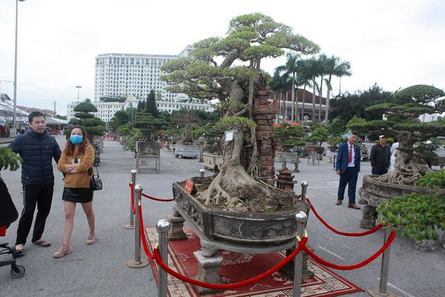 Sanh cổ "hồn quê" thu hút nhiều người đến chiêm ngưỡng. Ảnh: Dân Trí.