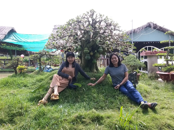 Hầu hết mọi người đến quán đều ra chụp với cây làm kỷ niệm.