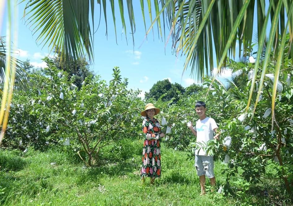 Chàng trai trẻ đã mở rộng diện tích cây trồng lên 3,3ha.