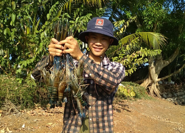 Thành đã nuôi tôm càng xanh thành công trên mảnh đất Tây Nguyên.