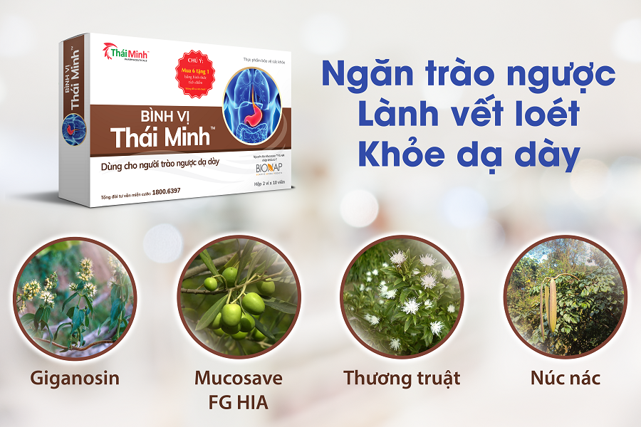 Bình Vị Thái Minh ngăn trào ngược, giảm viêm loét dạ dày - 2