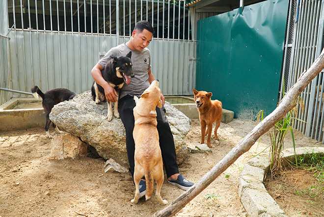 Trang trại nhỏ nuôi chó Lài của anh Trần Anh Tuấn nằm giữa thung lũng ở huyền Thạch Thành (Thanh Hóa). Hiện tại, khu nuôi nhốt bán tự nhiên có 7 chú chó Lài