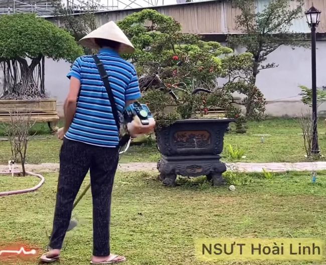 Trong những ngày Covid-19 gây ảnh hưởng tới cuộc sống người dân, nghệ sĩ Hoài Linh chủ yếu dành thời gian để chăm sóc vườn cây tại nhà thờ Tổ nghề.
