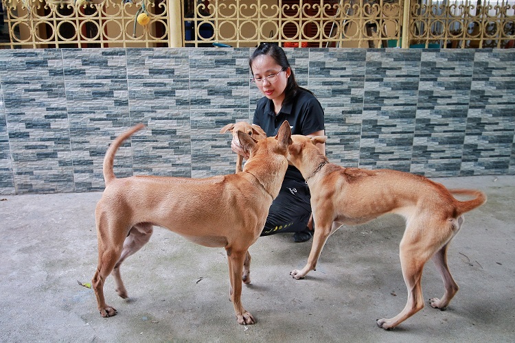 Khi ở nhà, Lốc cũng là một “người anh” thân thiện trong đàn.