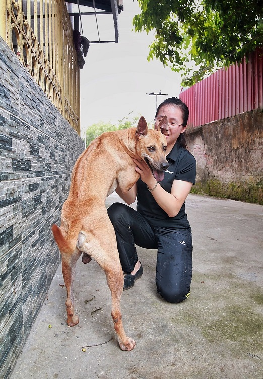 Vì là chú chó ưu tú trong đàn nên quá trình huấn luyện cũng khắt khe hơn.