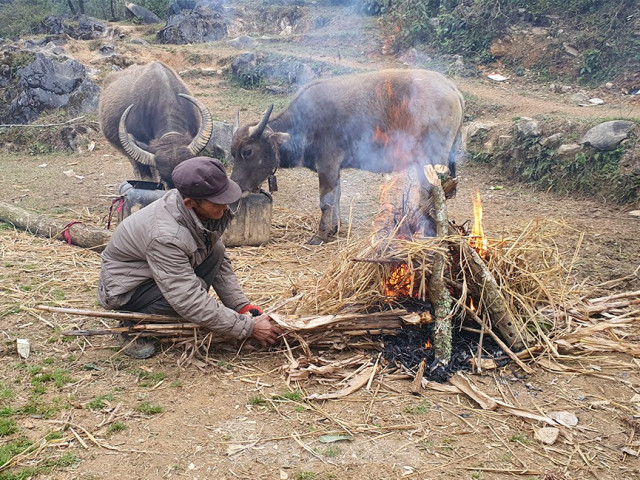 Hà Giang rét tê tái, người dân nổi lửa sưởi ấm cho gia súc