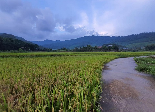 Một số gia đình thì chọn nghỉ dưỡng tại các nhà vườn, làng quê - nơi&nbsp;không quá xa Hà Nội