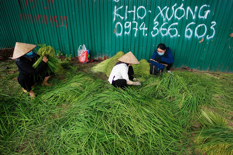 Quy trình khép kín này không phải ở đâu cũng sản xuất được và tại làng Mễ Trì cũng chỉ còn vài gia đình vẫn duy trì.