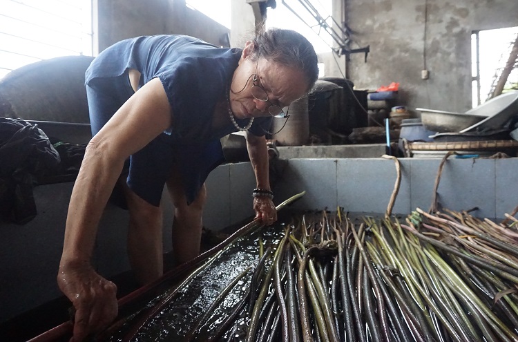 Mỗi thân sen về được đưa vào bể rửa sạch bùn và tuốt hết gai để thuận tiện cho quá trình rút sợi.