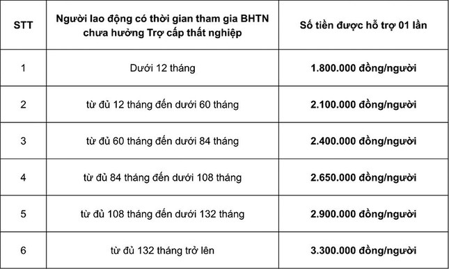 Các mức hỗ trợ NLÐ từ Quỹ BHTN theo Nghị quyết 116 và Quyết định 28/2021 của Thủ tướng