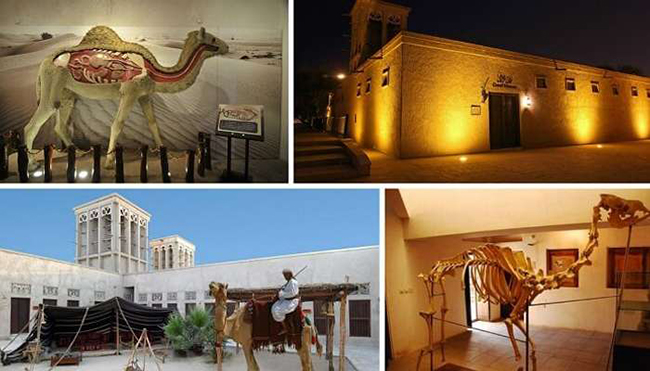 Bảo tàng lạc đà: Đây là một địa điểm tham quan miễn phí khác ở Dubai. Ở đây có bảo tàng dành riêng cho lịch sử của lạc đà ở UAE, mối quan hệ giữa lạc đà và người Ả Rập, các cuộc đua và giải phẫu lạc đà...
