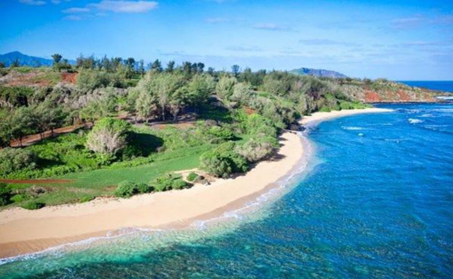 Đặc biệt, vị tỷ phú này còn là chủ sở hữu của hàng nghìn m2 đất ở thiên đường nghỉ dưỡng Hawaii.
