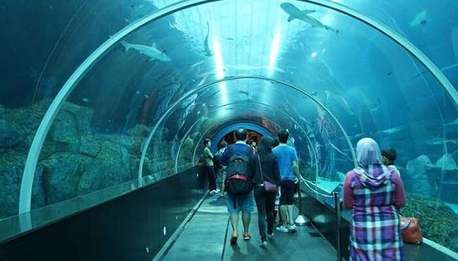 Công viên sinh vật biển: Đây là một trong trong những thủy cung lớn nhất trên thế giới, nơi bạn có thể dành cả ngày để đi bộ quanh bảo tàng, quan sát các loại cá và sinh vật biển khác. 

