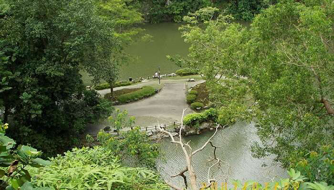 Công viên thị trấn Bukit Batok: Đây là một địa điểm nổi tiếng dành cho các cặp đôi và chủ yếu được biết đến với cảnh quan tuyệt đẹp. 
