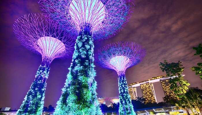 Gardens By The Bay: Đây là một khu vườn hiện đại rất tuyệt vời. Đến đây bạn sẽ được ngắm nhìn các loài thực vật&nbsp;kỳ lạ dưới các ngọn núi nhân tạo. Bên cạnh đó, có rất nhiều địa điểm tham quan gần Gardens by the Bay mà bạn có thể tham khảo.
