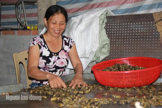 Thu mua cau bán cho Trung Quốc, kiếm hàng trăm triệu đồng mỗi vụ - 12