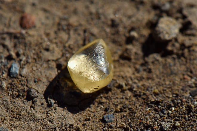 Viên kim cương vàng được bà Noreen Wredberg tìm thấy hôm 23-9. Ảnh: USD Today
