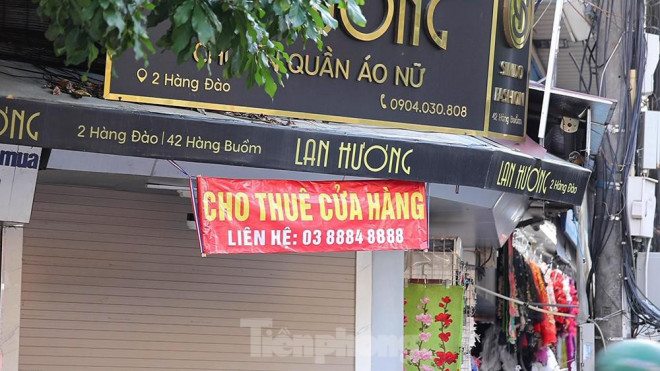 Mức giá cho thuê theo ghi nhận đã giảm đáng kể nhưng chủ nhà "mỏi mắt" vẫn không tìm được khách.