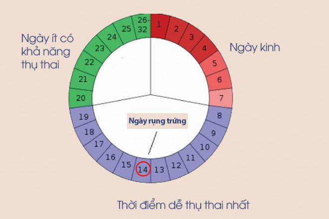 Cách tính ngày trong chu kỳ kinh nguyệt