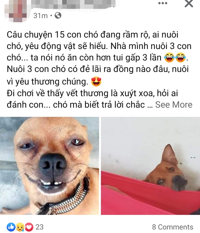 Cộng đồng mạng chia sẻ ảnh thú cưng để bày tỏ sự tiếc thương với đàn chó vừa bị tiêu hủy.