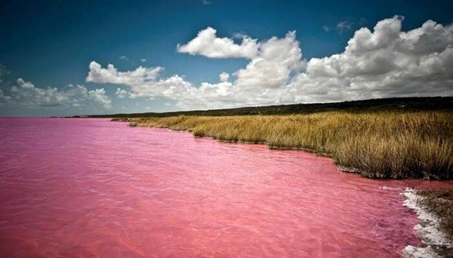 Hồ Hillier ở Úc gây ấn tượng bởi màu hồng vô cùng đặc biệt, và càng nổi bật hơn khi nó nằm ngay bên cạnh đại dương xanh ngắt. 
