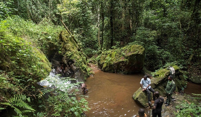 Dự án khai thác bô xít ở Ghana gây tranh cãi vì ảnh hưởng đến khu rừng xanh Atewa.