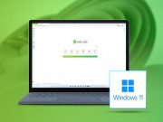 Công nghệ thông tin - Trình duyệt Cốc Cốc và Windows 11 có thể không tương thích: Do đâu?