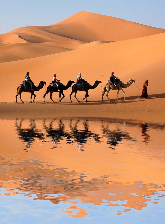 1. Cưỡi lạc đà qua sa mạc

Đây là thú vui nhiều du khách yêu thích ghi ghé đến Morocco. Việc ngồi trên lưng lạc đà, băng qua sa mạc Sahara khô cằn là một trong những trải nghiệm rất thú vị.
