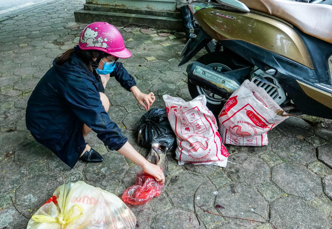 Cá được những người dân này đưa lên bờ