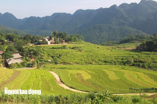 Tại các huyện vùng cao Quan Hóa, Quan Sơn, Bá Thước, Mường Lát... có rất nhiều ruộng bậc thang, khi lúa chín đã tạo nên một cảnh đẹp mê mẩn, bình yên giữa núi rừng