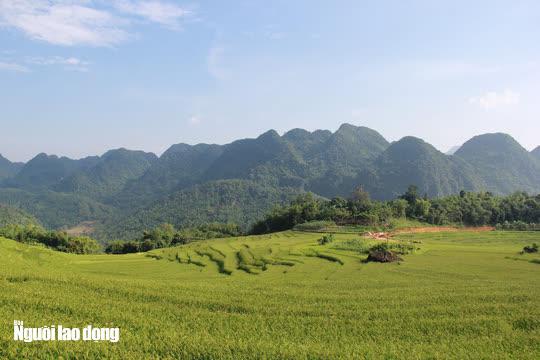 Vẻ đẹp mê mẩn mùa vàng ở Pù Luông - Sa Pa của xứ Thanh - 6