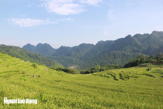 Pù Luông được ví như một Sa Pa của xứ Thanh với những ruộng bậc thang rộng lớn, nằm lọt thỏm giữa những dãy núi cao hùng vĩ