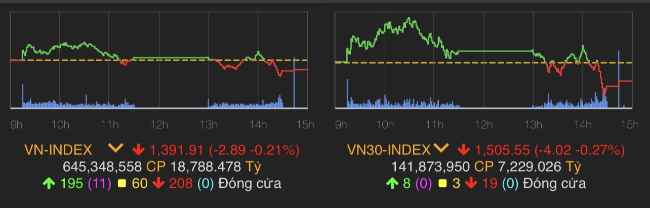 VN-Index giảm 2,89 điểm (0,21%) còn 1.391,91 điểm.