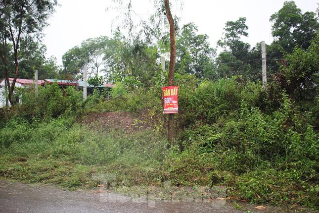 Biển rao bán đất xuất hiện tràn lan hai bên đường khu vực các xã Hiền Ninh, Minh Phú, Minh Trí.