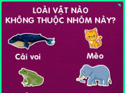 Bạn trẻ - Cuộc sống - 7 bài quiz đơn giản nhưng không phải ai cũng trả lời đúng