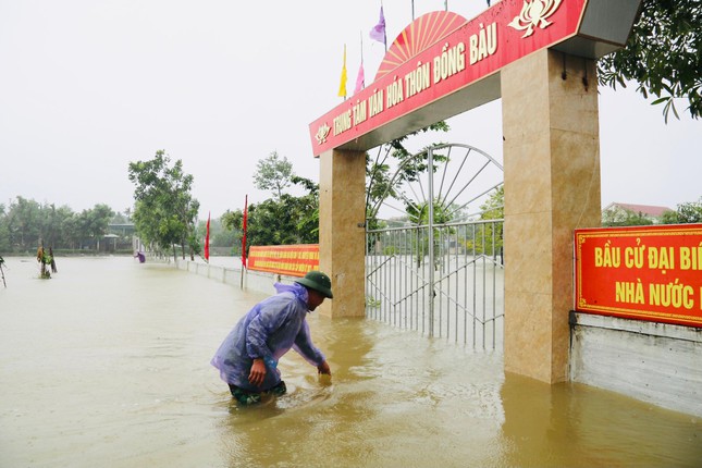 Tại khu vực nhà văn hoá thôn Đồng Bàu có nơi ngập sâu trên 1m. Người dân giăng lưới bắt cá ngay ở các đường vào thôn.