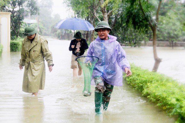 Hôm qua đến nay, ông Hà Tuấn Anh cùng người dân ở thôn ra đường, đồng để thả lưới, có hôm được cá trắm nặng 4kg, còn lại đa phần là các loài cá rô phi, cá diếc…