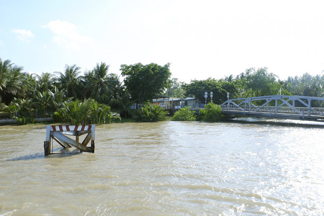 Cù lao Dung thanh bình nằm cuối nguồn dòng sông Hậu