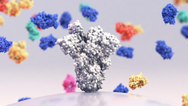 Phát hiện của các nhà khoa học CHUV và EPFL được xuất bản trên tạp chí uy tín Cell Reports. Ảnh: EPFL