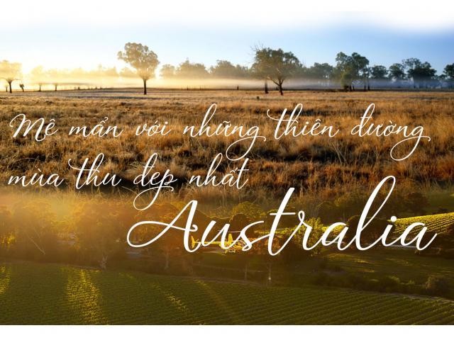 Du lịch - Mê mẩn với những thiên đường mùa thu đẹp nhất Australia