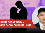 Pháp luật - Video: Quan hệ giữa Sugar Baby – Sugar Daddy có phạm luật?