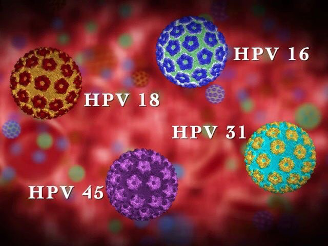 Xét nghiệm HPV tự thu - Tiến bộ mới trong sàng lọc ung thư cổ tử cung - 1