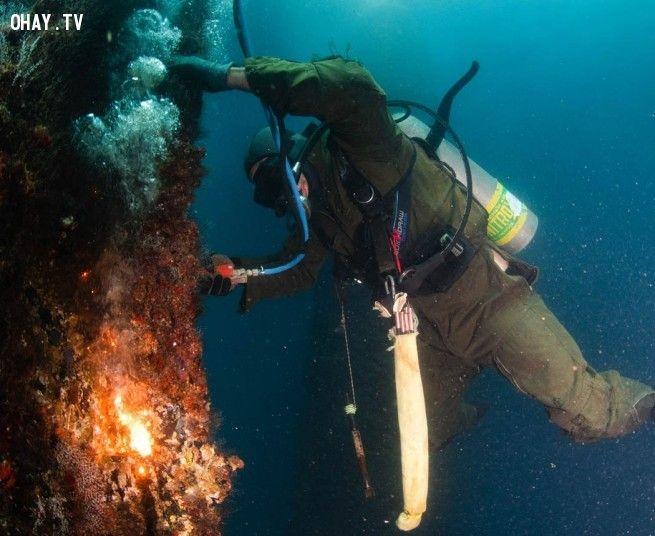 8 nghề nghiệp nghe đến đã ái ngại nhưng kiếm được bộn tiền, tuy nhiên nghề cuối cùng dâng tiền tận tay không ai dám nhận - 5