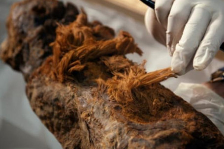 Phát hiện mới về xác ướp Ai Cập 4.000 năm có thể khiến sử sách phải viết lại