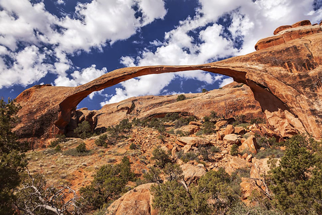 Cầu tự nhiên hẹp nhất thế giới nằm trong vườn quốc gia Arches, Utah, Mỹ với phần hẹp nhất chỉ rộng 2m. Công viên quốc gia Arches là nơi có nhiều mái vòm đá&nbsp;đáng chú ý, bao gồm cả vòm đôi và vòm chữ O kép.
