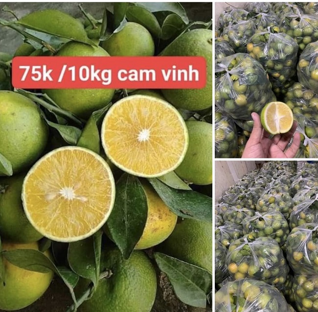 Giá cam lòng vàng được rao bán chỉ 75.000 đồng/10kg. (Ảnh chụp màn hình).